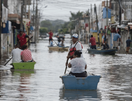 Hurricane survivors