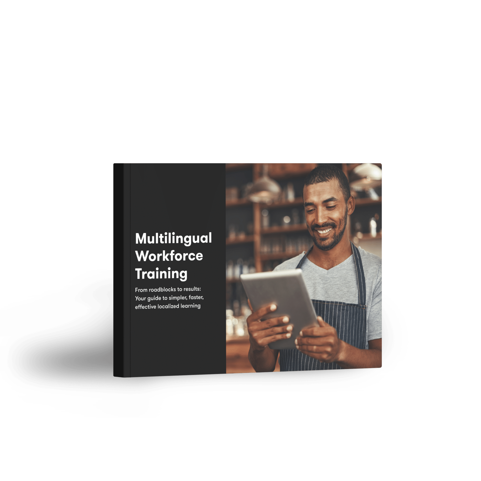 Multilingual Workforce Training | Articulate