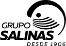 Grupo Salinas logo